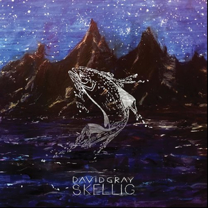 David Gray Releases 'Skellig' On Vinyl & CD